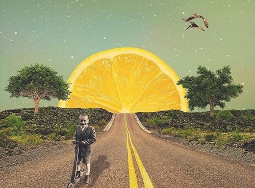 Kayo's セレクション